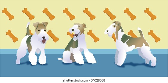 Three beautiful wire fox terrier standing together on a room