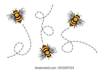 Three Bee flying path. A bee flying in a dotted line. The flight path of bee. Bee flying on a dotted route. Hand drawn bees. Vector illustration