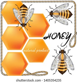 three bees and honeycomb on white background, caption honey is a natural product. vector illustration. EPS 10.