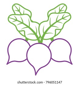 three beet vegetable healthy food