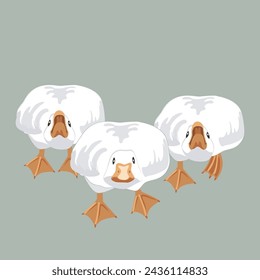 Tres grandes gansos enojados y valientes corriendo y yendo a morder probablemente. Pájaros machos de ganso atacando y defendiendo a la bandada. Ilustración vectorial aislada en verde