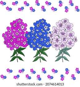 Three big branches of phlox for your design. Objects isolated on white background.