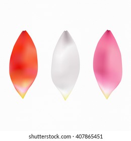 Three big vector Lotus petals isolated on white. Beautiful set of pink, white and orange realistic water lily petals. Lotus flower petal set. Tender and romantic elements for wedding and spa.