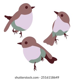 Three bird illustrations, hand drawing doves, refined in Adobe Illustrator. Autumn colors sparrow, cute bird vectors, flat design.