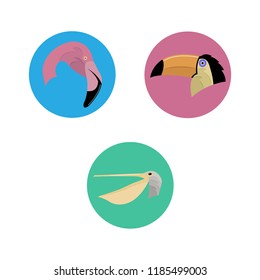 three birds flat icon