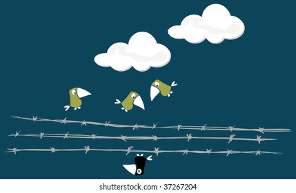 Three birds looking at an another bird shocked by the power line