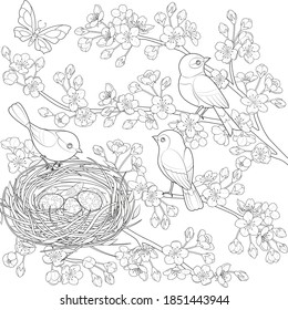 three birds on a flowering branch black and white illustration for coloring