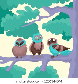 Three birds of an owl sit on a tree branch