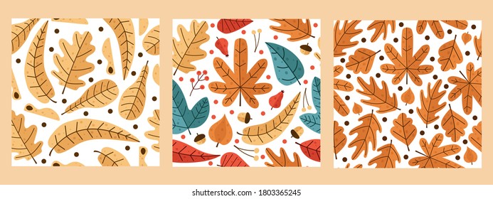 Three black autumn pattern with leaves maple, mountain ash, oak, birch.Various veined leaves . Vector illustration. For wallpaper, gift paper, pattern fill, web page background, autumn greeting cards.