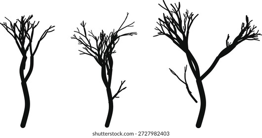 Tres siluetas negras del árbol desnudo con las ramas escasas en blanco