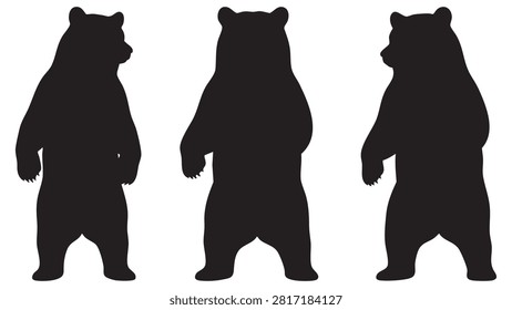 Three black bear silhouettes are shown against a white background each in a slightly different standing pose.