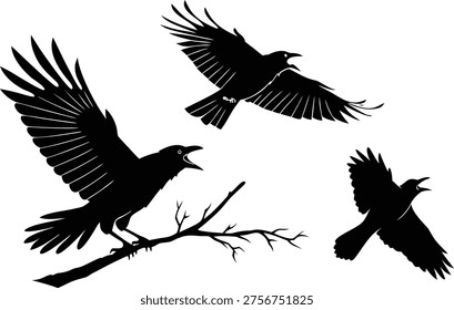 Three black birds in flight and on a branch, stark contrast with white background