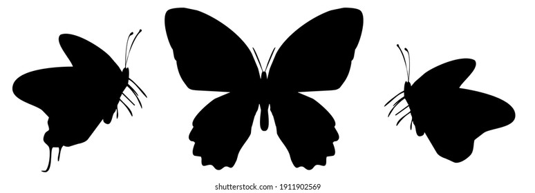 Three black butterflies icon, isolated on white background. Vector