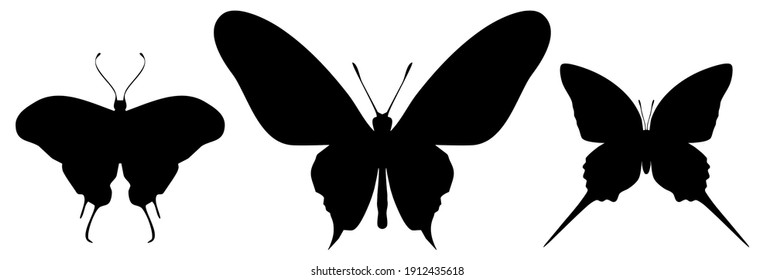 Three black butterflies icon, isolated on white background. Vector