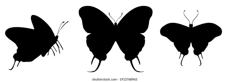 Three black butterflies icon, isolated on white background. Vector