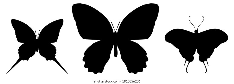 Three black butterflies icon, isolated on white background. Vector