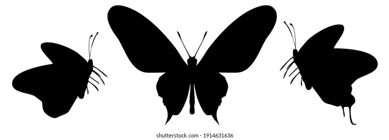 Three black butterflies icon, isolated on white background. Vector