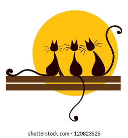 Three black cats sitting on board and looking at sun