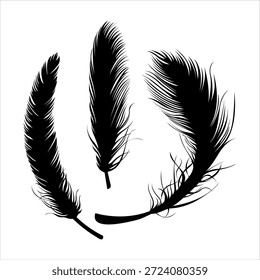 Three black feathers arranged in a circular pattern on a white background.