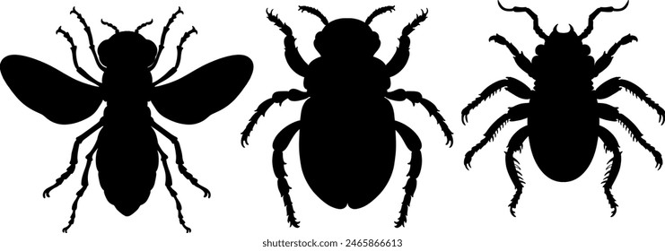 Three black insect silhouettes on a white background