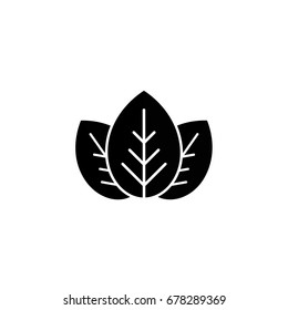 Three black leaves eco logo. Leaf organic icon. Leaf ecology, eco, organic symbol. Healthy, organic, vegetal, raw food logo.  Vector illustration isolated on white.  