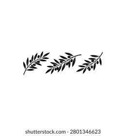 Three black olive tree leafy branches