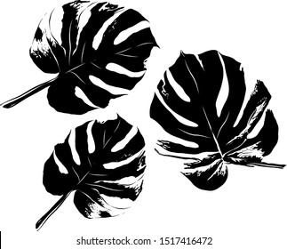 three black palm leaves vector