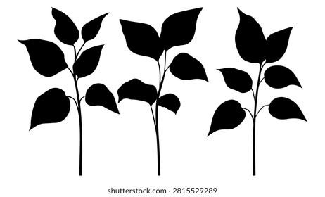 Three black plant silhouettes with stems and leaves, symbolizing growth, nature, and vitality, set against a plain background.