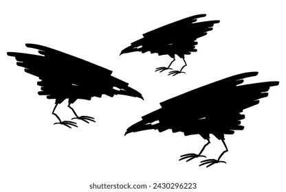 Three black Raven birds. Crow silhouette. Hand drawn vector illustration isolated on white background.