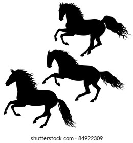 Three black running horses silhouettes isolated on white background