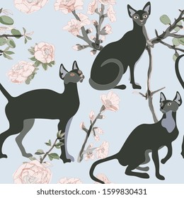Three black  siamese or sphinx cats in sakura flowers on a light blue background seamless vector illustration. Felis catus. Image of a silhouette of a bald and hairless cat. Endless pattern. EPS10