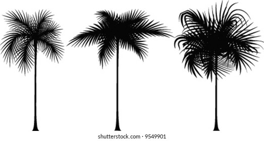 three black silhouette of palm tree on white
