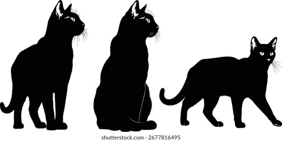 Três silhuetas pretas de gatos em poses diferentes. Um está em pé, o outro está sentado e o outro está andando.