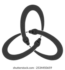 Three black snakes bite each other's tails, forming a triquetra knot. Triangular ouroboros symbol illustration. Vector serpent tattoo design isolated on white background.