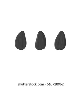 Three black sunflower seeds isolated on white background. Vector illustration.
