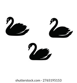 Three black swans in profile view