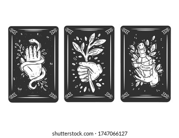 Tres cartas negras de tarot. Juego mágico oculto de cartas tarot con palmas, serpiente, planta y poción. Grabando ilustración vectorial. Cartas aisladas en fondo blanco para afiches, pegatinas, plantilla.