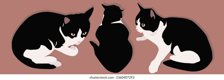 Three black and white cats are sitting next to each other. Domestic cats are favorite pets. Vector illustration.