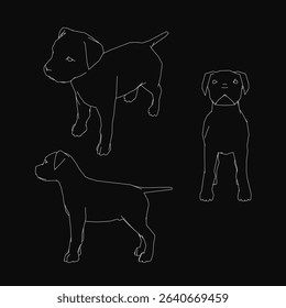 Three black and white drawings of dogs. The first dog is a puppy, the second is a small dog, and the third is a large dog