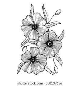 three black and white hand drawen poppies in vintage style
