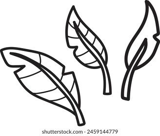 Three black and white leafy stems. The stems are thin and long