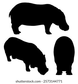 Three black and white silhouettes of a hippopotamus. The first one is looking down, the second one is looking up, and the third one is looking to the right