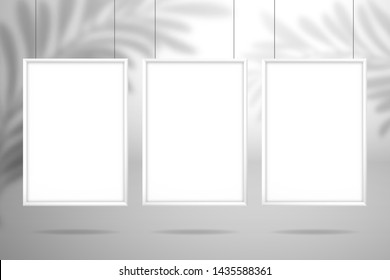 Three blank white frames hanging on the strings. The shadow of the palm tree falls on the wall behind. Mockup for design with shadow