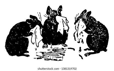 Three Blind Mice Wiping Eyes With Cloths, Vintage Line Drawing Or Engraving Illustration