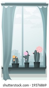 Three blooming cacti on a window sill