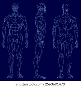 Three blue drawings of a man's body, each with a different pose. The drawings are of a man's body, with the legs and feet visible. The drawings are in blue