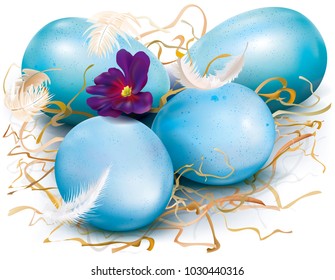 Three blue eggs are decorated with feathers and dry grass. Vector illustration
