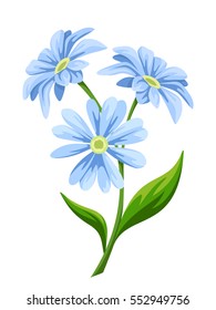 Three blue flowers isolated on a white background. Vector illustration.