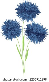 Three blue flowers on a twig.  Vector file for designs.