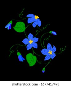 three blue flowers with orange centers with stems of vines with curls and half-opened buds on a black and black background